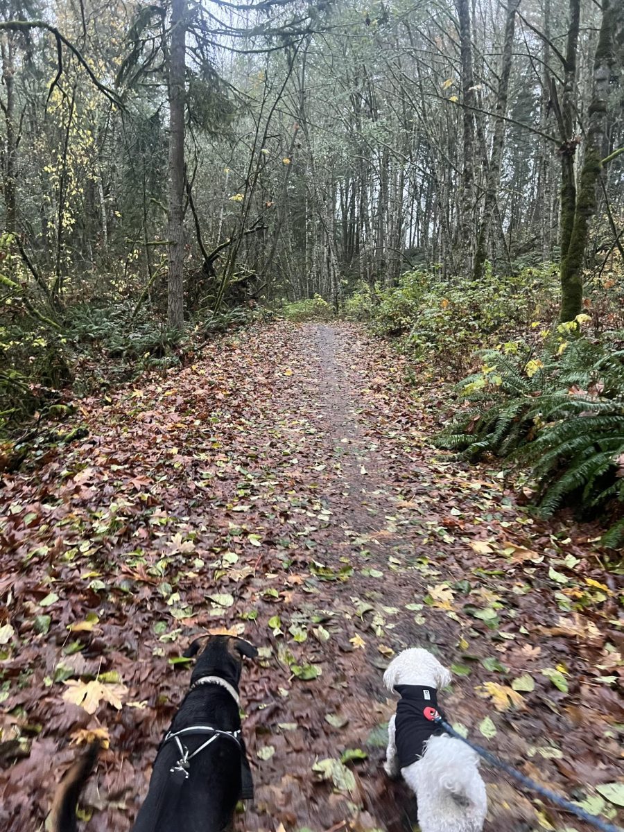 Ellie & Rose’s Trail Guide