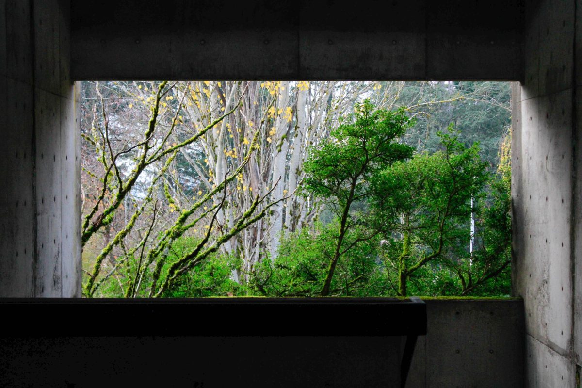 Launa-Artical-Naturephoto-edited